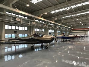 連續(xù)兩次被國家評(píng)為優(yōu)秀,自貢靠什么